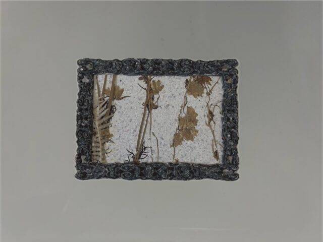 画像：PANECO® FineArt　LossFlower-Type「写真立て」