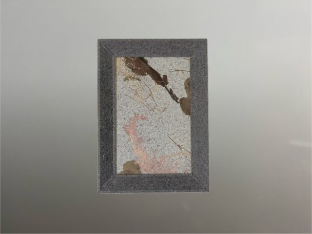 画像：PANECO® FineArt　LossFlower-Type「千変万化」